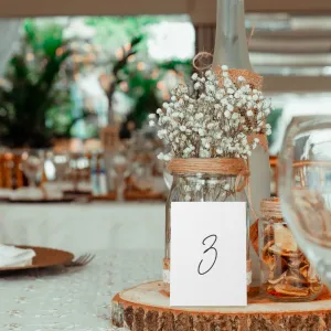 Dreamy Table Numbers