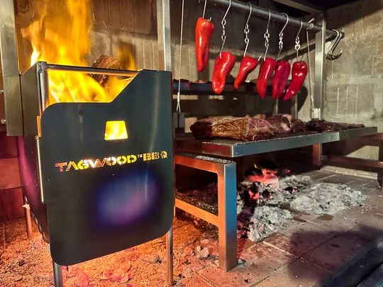 Tagwood BBQ Insert Style Argentine Santa Maria Wood Fire & Charcoal Grill - BBQ09SS